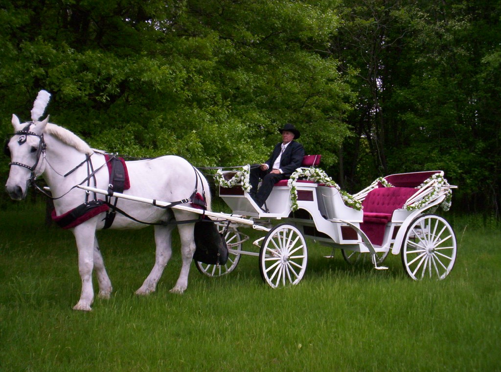 wedding carriage clipart