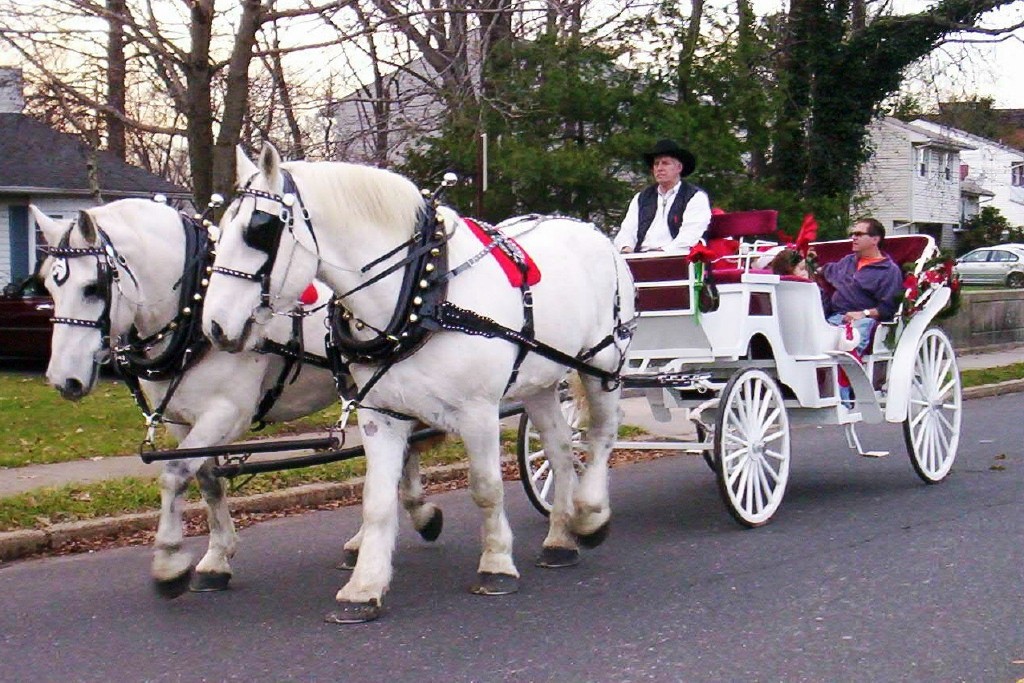 HORSE AND CARRIAGE RIDES