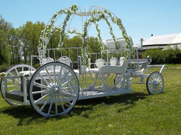 OUR NEW PRINCESS CARRIAGE